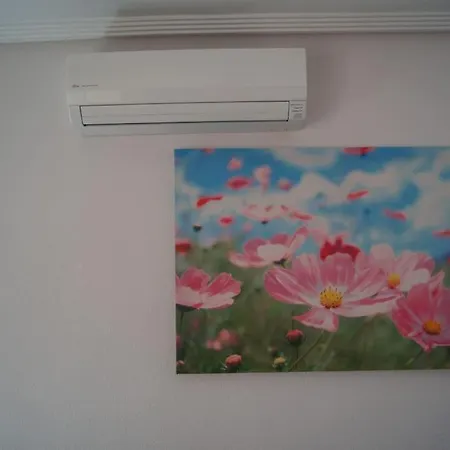 Casa Spanje * 托雷维耶哈
